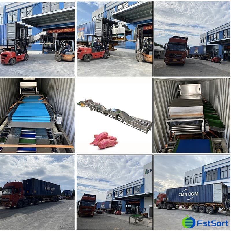 images/1668069898625sweet potato grading line.jpg